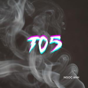 Ngọc Anh - Fable of the Foreseen Fulcrum