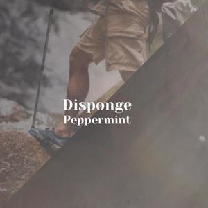 Disponge Peppermint