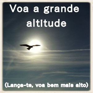 Voa a grande altitude (lança-te, voa bem mais alto)