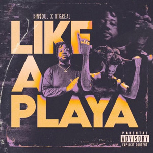 Like a Playa (Explicit)