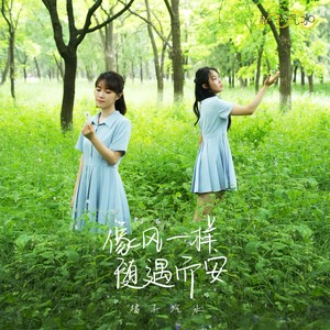 像风一样随遇而安