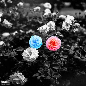 Smell The Roses (Explicit)