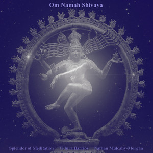 Om Namah Shivaya