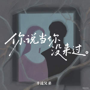 你说当你没来过 (深情版)