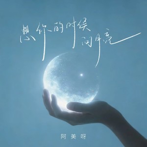 想你的时候问月亮