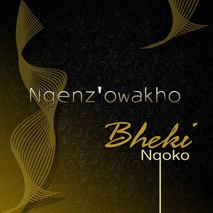 Ngenz'owakho