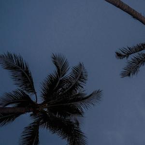 Waves (feat. tahmeed) (Dropped Tune) (Explicit)