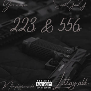 223s & 556s (feat. Littay.abk) [Explicit]