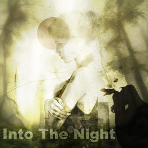 Into The Night (feat. Oz Noy, Justine J. Hall & Gerald Duchene)