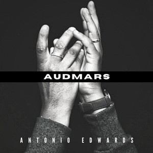 AUDMARS