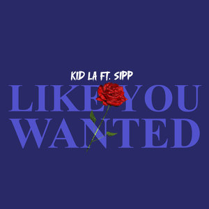 Like You Wanted (Explicit)