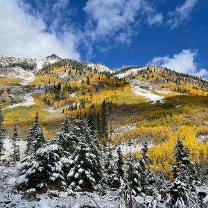 Snow Cap