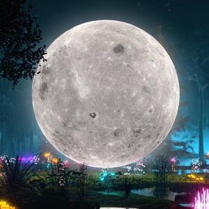 My Dreams (feat. Nabru & Dre Law) (Explicit)