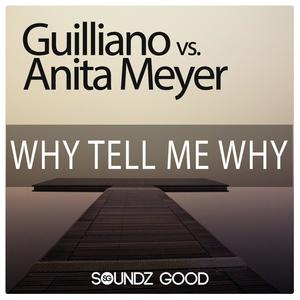 Why Tell Me Why (Guilliano vs. Anita Meyer)