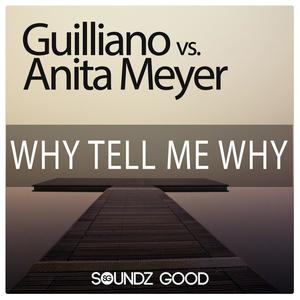 Why Tell Me Why (Guilliano vs. Cj Stone Remix)