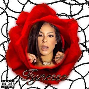 FYNESSE (Explicit)