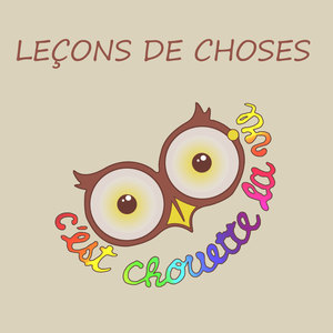 LEÇONS DE CHOSES ("C'est chouette la vie")