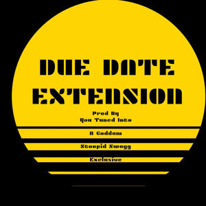 DUE DATE EXTENSION