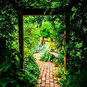 ScAmMeRs YuErIxOx, MoXiE (Explicit)