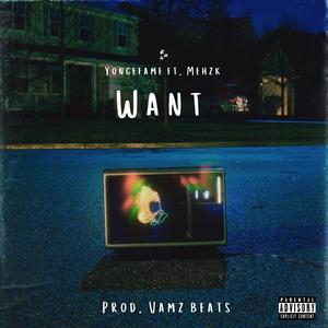 Want (feat. Mehz K) (Explicit)