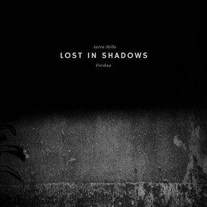 Lost In Shadows