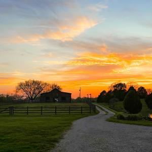 Beach Bike (feat. Amory)