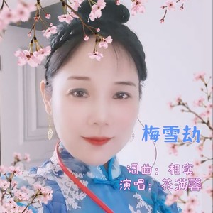 梅雪劫