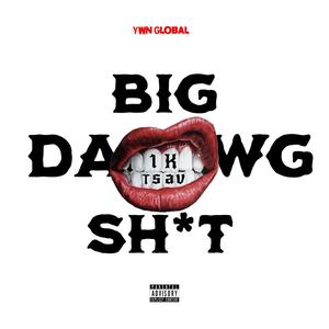 Big Dawg **** (feat. Tsavage) [Explicit]
