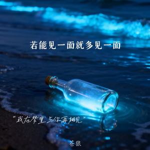 能见一面就多见一面 (我在梦里与你再相见)