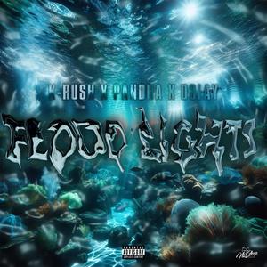 FLOOD LIGHTS (feat. PANDHA & D3LAY) (Explicit)