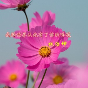 我的世界从此有了你的味道 (伴奏)