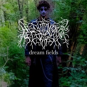 Dream Fields