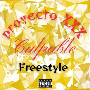 Culpable Freestyle (Explicit)