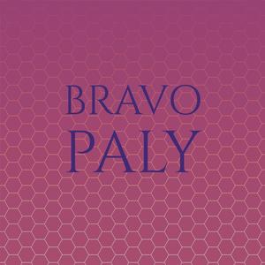 Bravo Paly