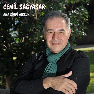 Ama Şimdi Yoksun