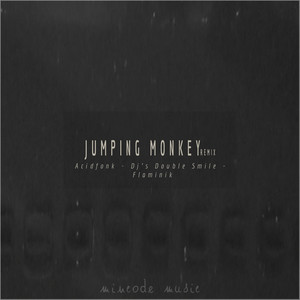 Jumping Monkey (Acidfonk Remix)