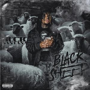 Black Sheep (Explicit)