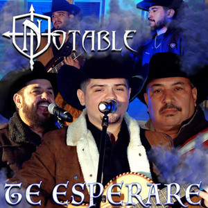 Te Esperare (En Vivo)