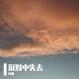 沉默中失去 (Demo)