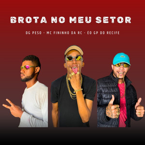 Brota no Meu Setor (Explicit)