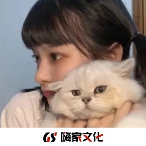 气质动感旋律