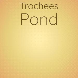 Trochees Pond