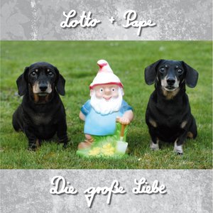 Dirk stellt es richtig