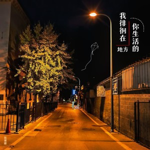 我徘徊在你生活的地方