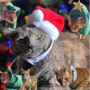 Carol of the Cats (feat. Gideon Klein)