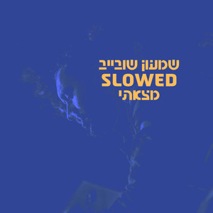 שמעון שובייב - יום הולדת Slowed