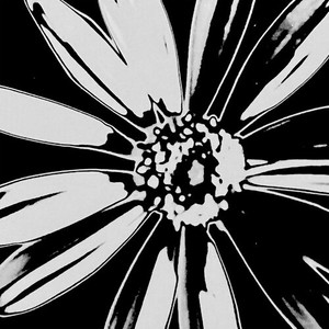 Spring Riot