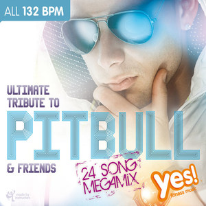 ULTIMATE TRIBUTE TO PITBULL & FRIENDS