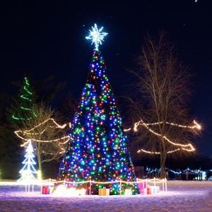 My Coloring Book(A Christmas Song)[feat. Rob Tracy]