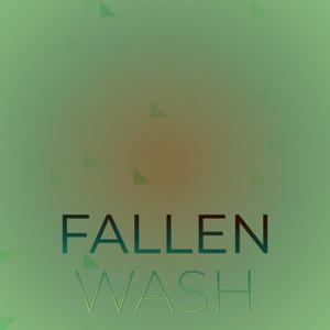 Fallen Wash